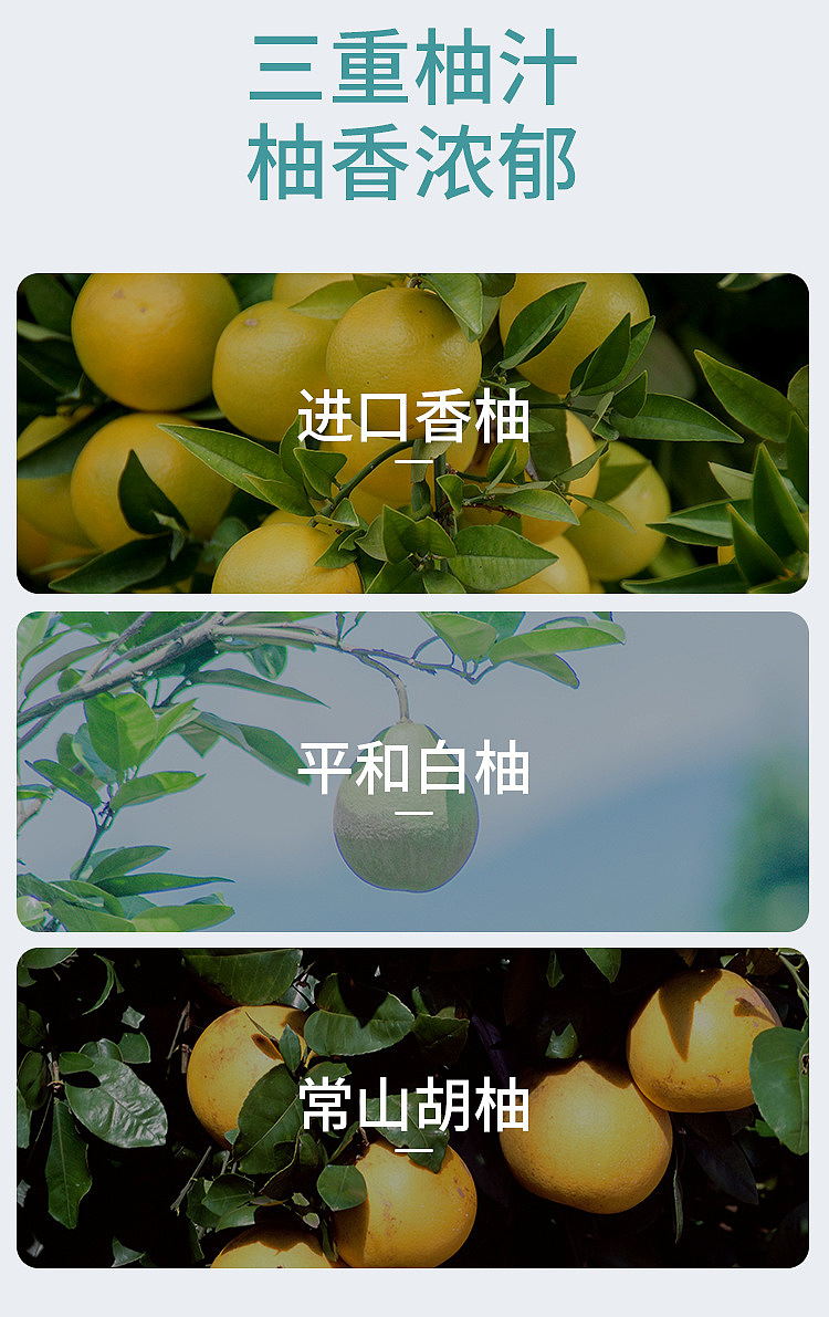 full-casetrio-triple-grapefruit-sparkling-juice-drink-300ml12-bottles-case-3