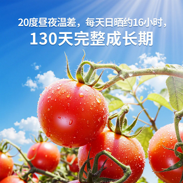 xiangliao-hot-pot-rice-noodles-tomato-flavor-229g-2