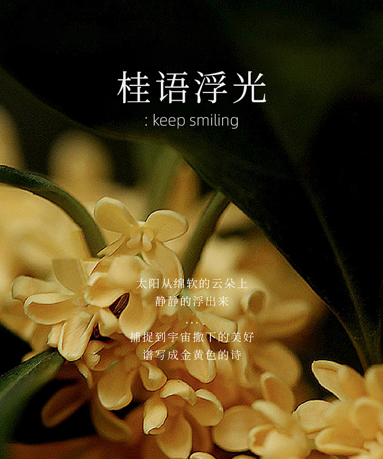 gift-set-emma-morley-full-of-osmanthus-rain-fragrance-gift-set-12