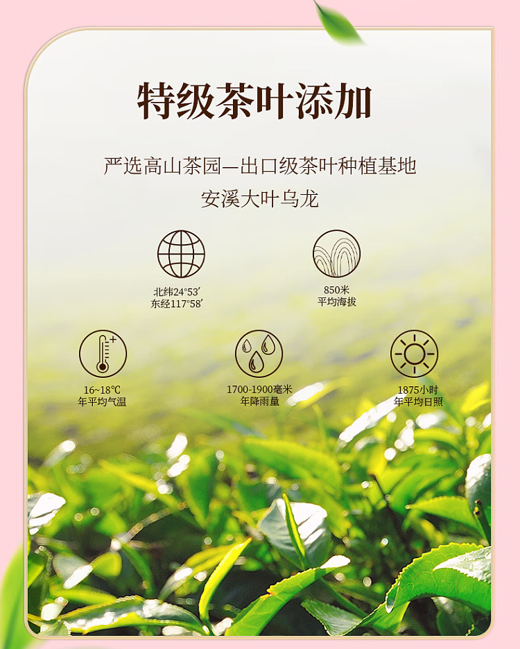 mcdonalds-oolong-oolong-tea-drink-white-peach-flavor-750ml-5