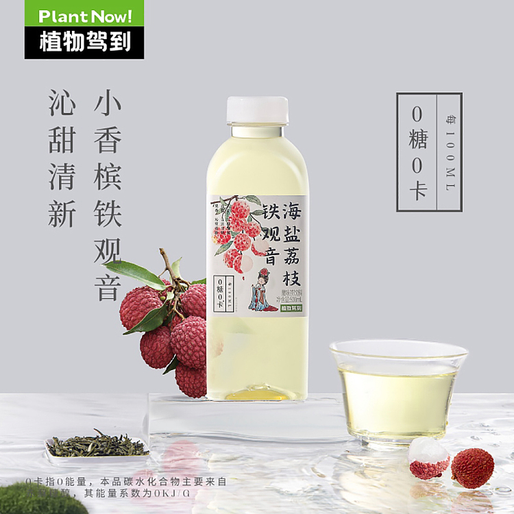 botanical-drive-sea-salt-lychee-tieguanyin-0-sugar-0-calorie-500ml-2