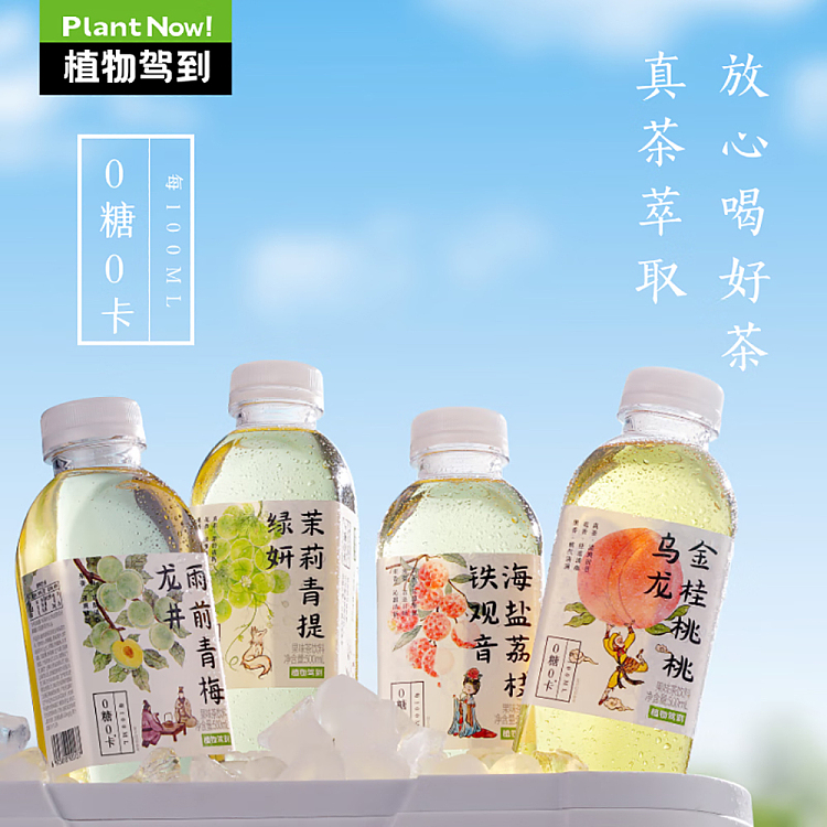 botanicals-drive-to-rainy-day-plum-longjing-0-sugar-0-calorie-500ml-2