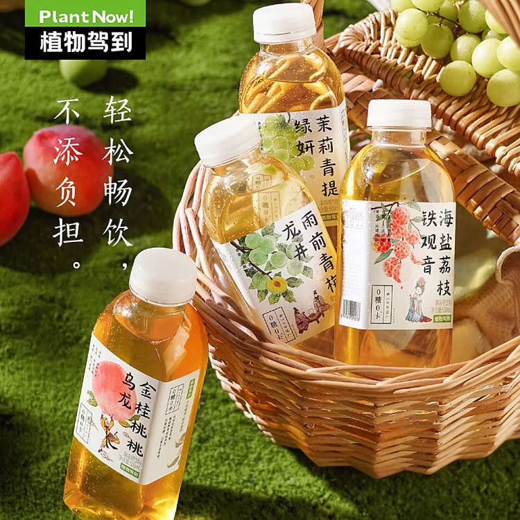 botanicals-drive-to-rainy-day-plum-longjing-0-sugar-0-calorie-500ml-3