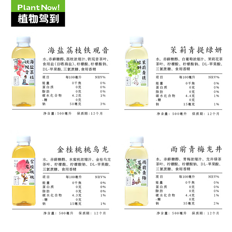 botanicals-drive-to-rainy-day-plum-longjing-0-sugar-0-calorie-500ml-4