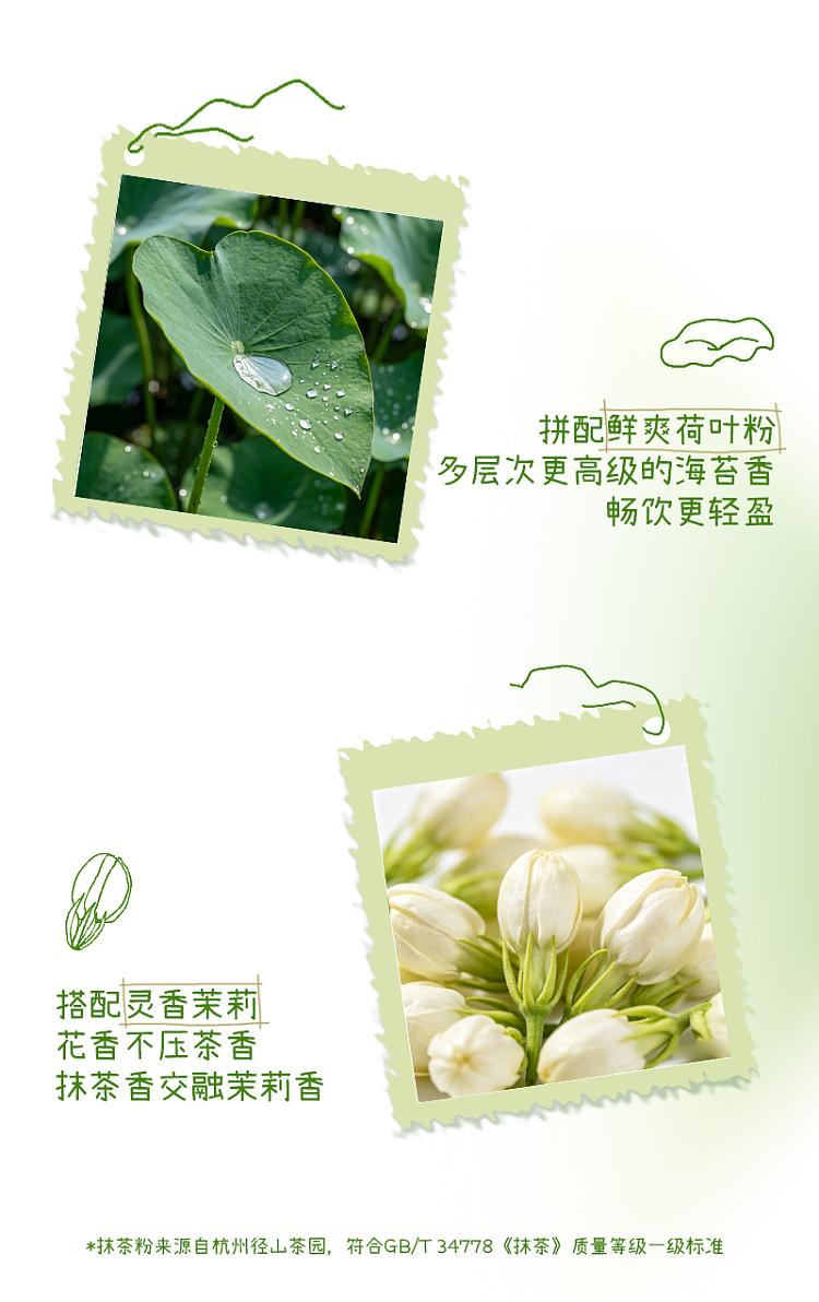full-case-plant-arrives-longjing-matcha-500-ml-15-bottles-7