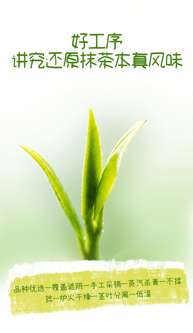full-case-plant-arrives-longjing-matcha-500-ml-15-bottles-8
