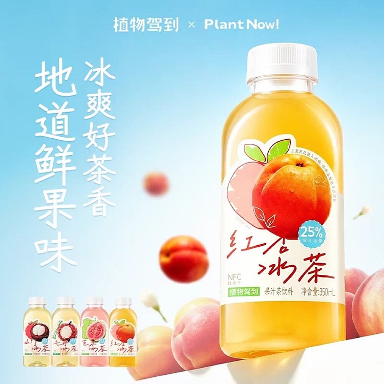 full-case-plant-arrives-red-apricot-iced-tea-500ml-x-15-bottles-3