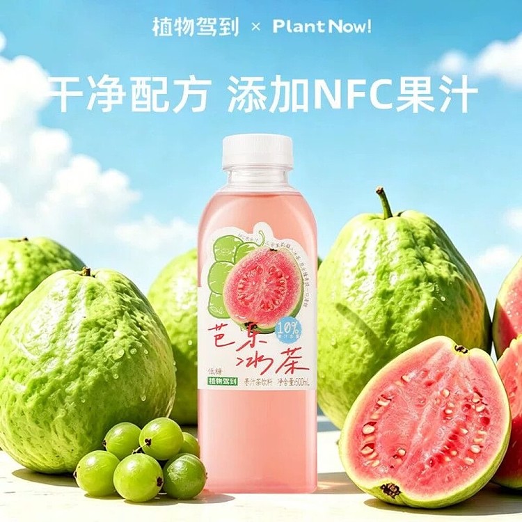 full-case-plant-arrives-guava-iced-tea-500ml-x-15-bottles-2