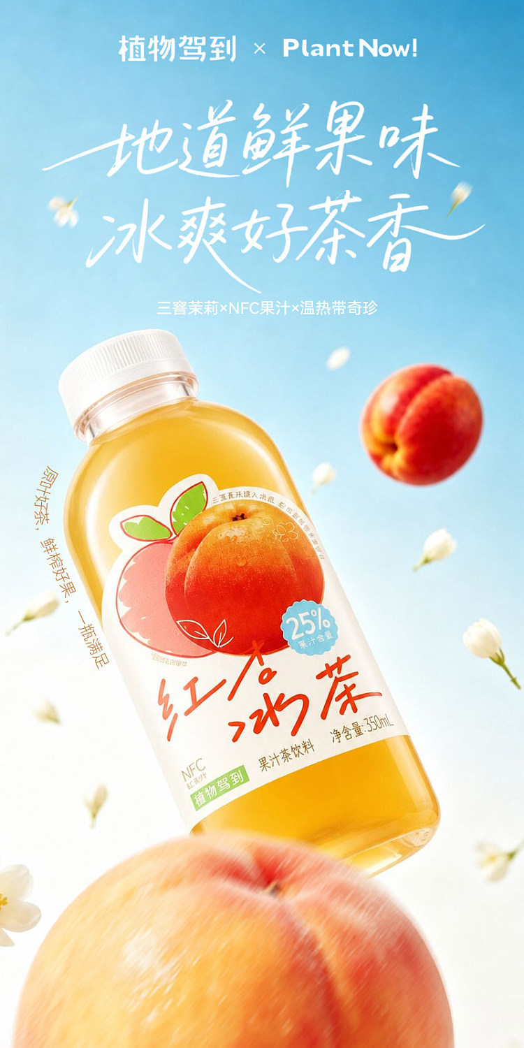 full-case-plant-arrives-mangosteen-iced-tea-500ml-x-15-bottles-1