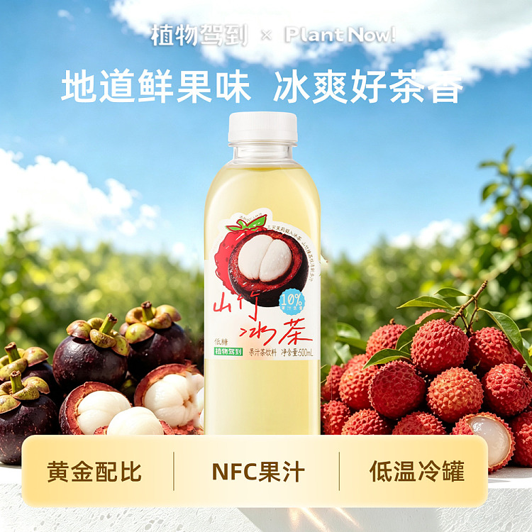 full-case-plant-arrives-mangosteen-iced-tea-500ml-x-15-bottles-2