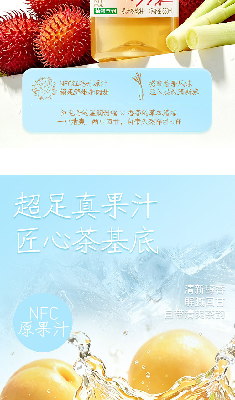 full-case-plant-arrives-rambutan-iced-tea-500ml-x-15-bottles-9