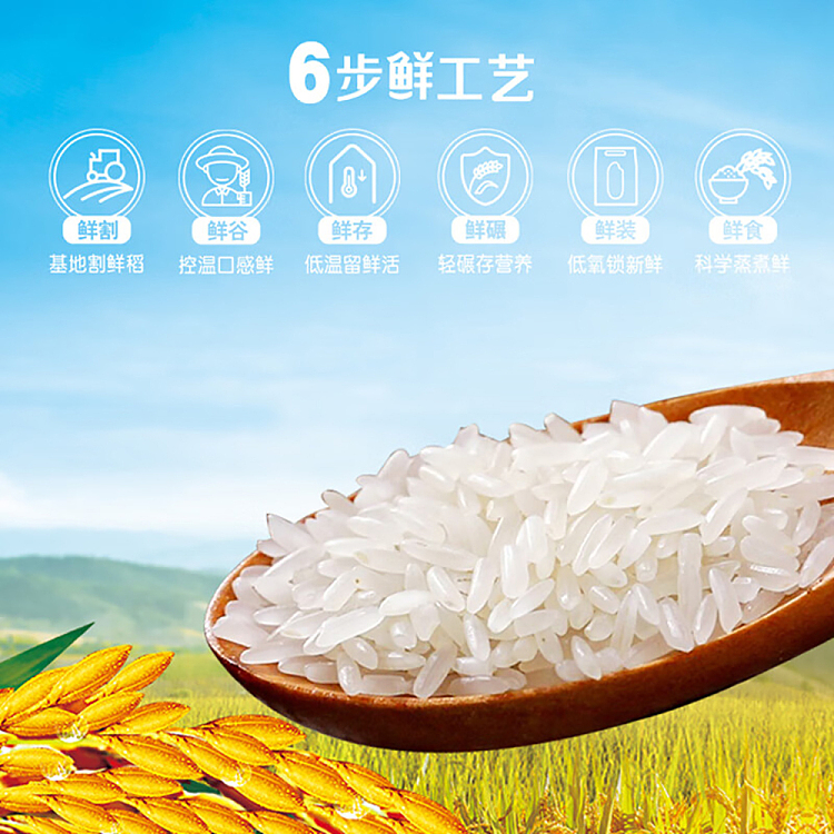 dragonfish-fung-chef-fresh-rice-2-minute-microwave-ready-to-eat-210g-3