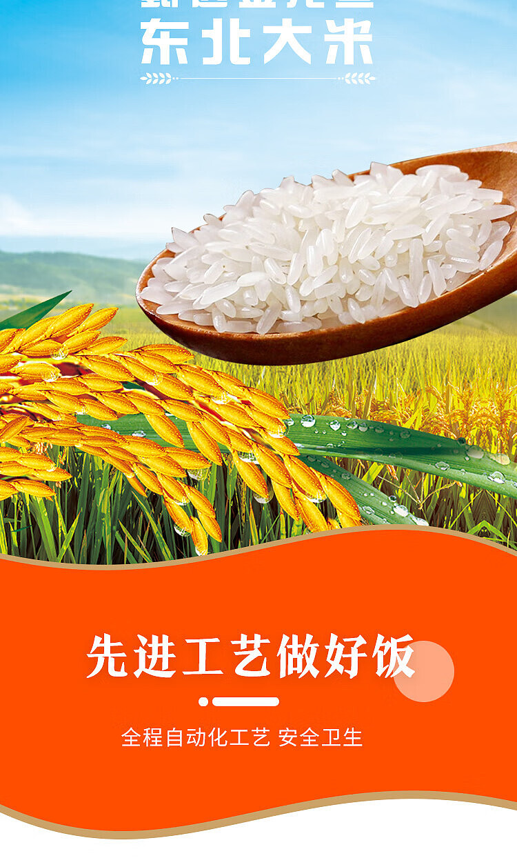 golden-dragon-fish-fung-chef-fresh-rice-2-minute-microwave-ready-to-eat-3-servings-630g-4