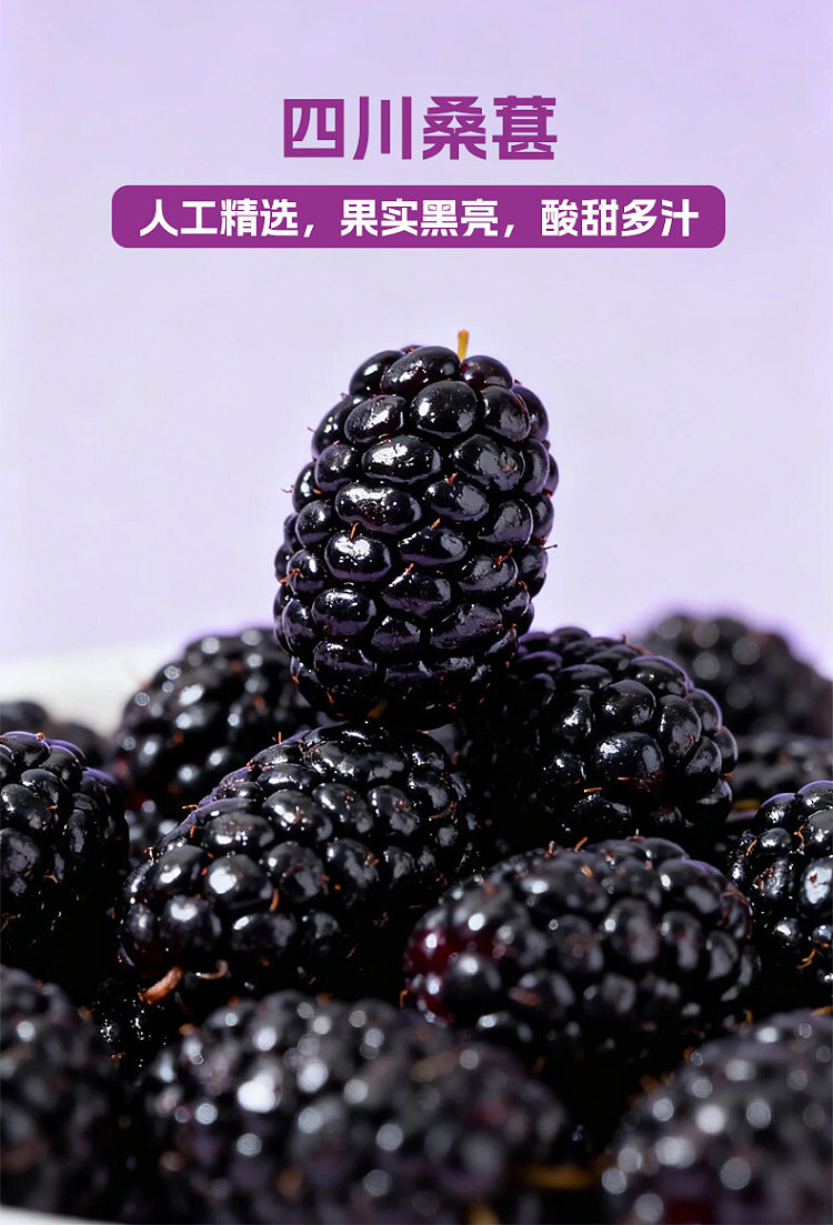 light-on-figs-blackberry-1l-2