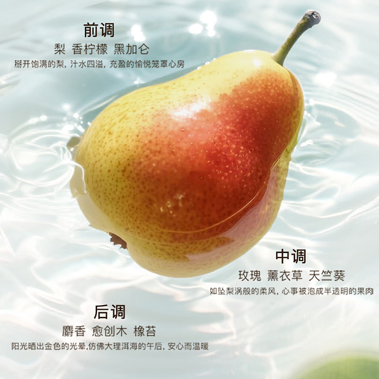 and-first-sun-red-pear-shampoo-500ml-3