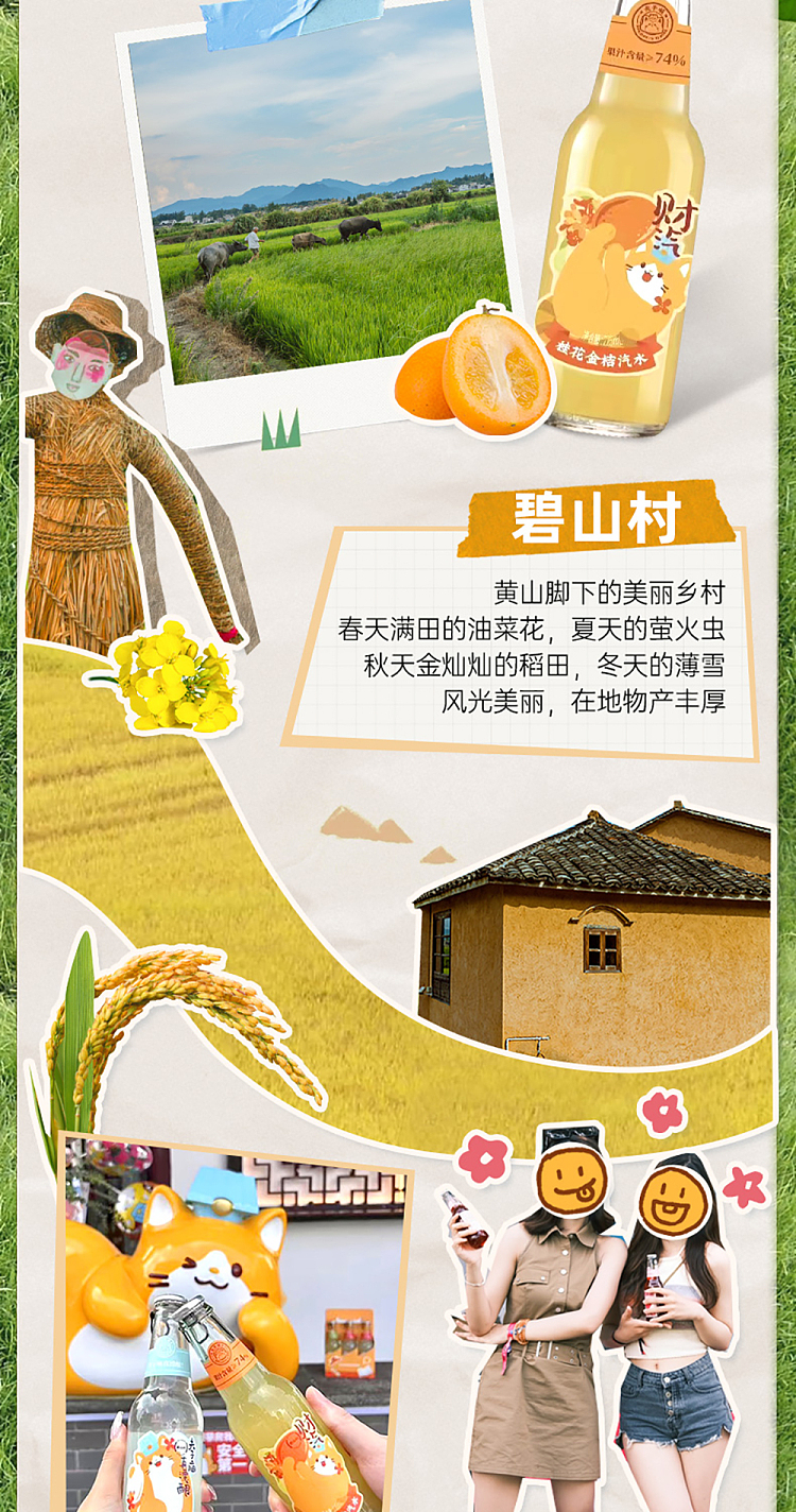 bishan-village-soda-cinnamon-kumquat-flavor-225ml-2