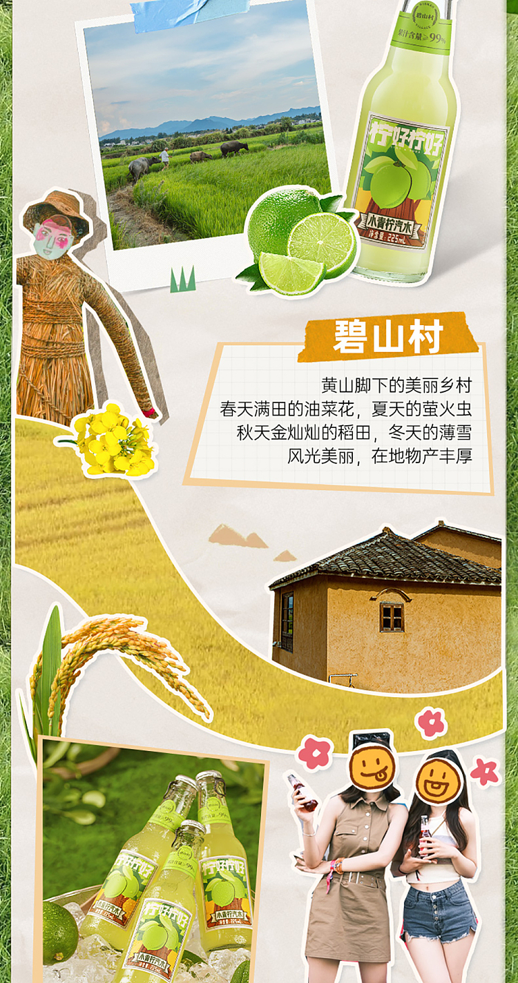 bishan-village-soda-small-lime-flavor-225ml-2