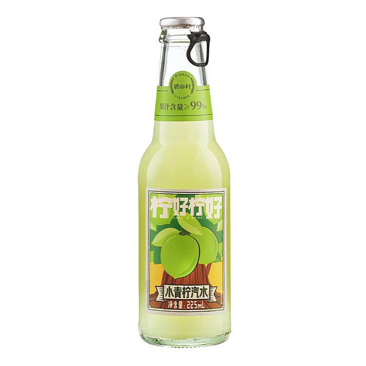 bishan-village-soda-small-lime-flavor-225ml-1