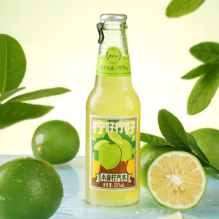 bishan-village-soda-small-lime-flavor-225ml-2