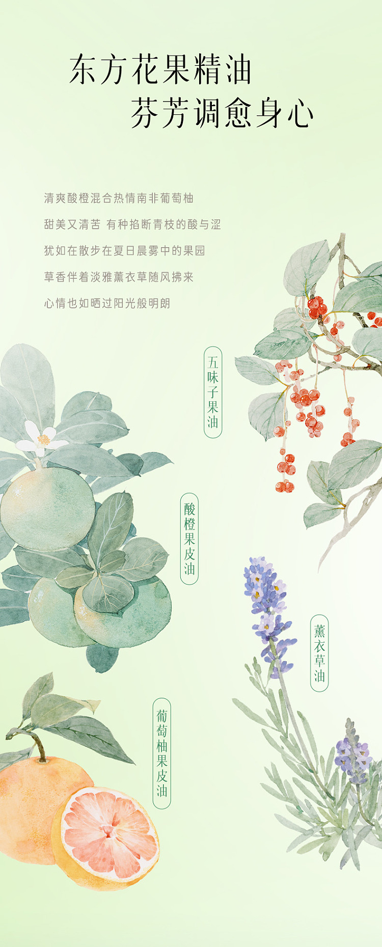 by-the-way-of-the-joyful-plant-extracts-cleansing-oil-150ml-premium-set-13