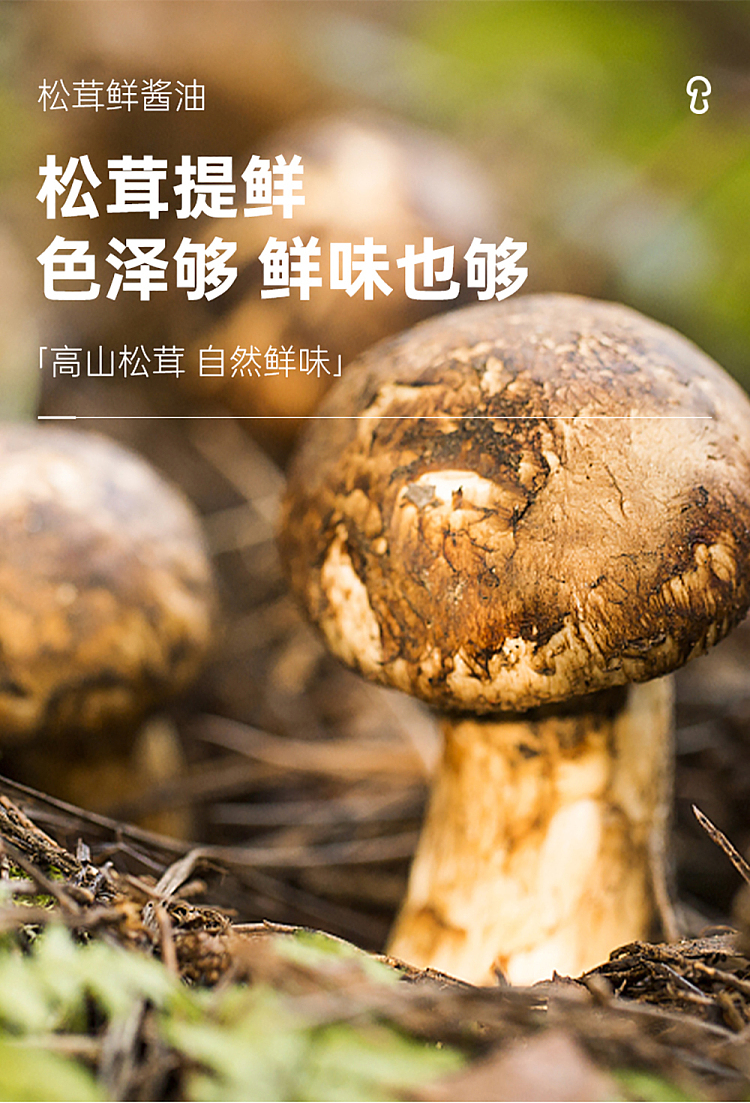 matsutake-fresh-matsutake-fresh-soy-sauce-500ml-5