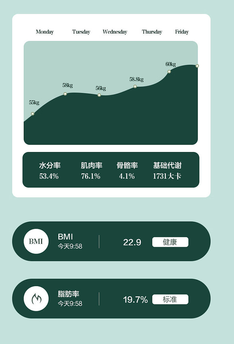 fragrant-hill-smart-body-fat-scale-blue-usb-charging-model-4