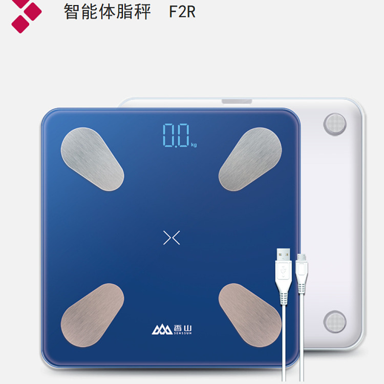 fragrant-hill-smart-body-fat-scale-blue-usb-charging-model-1