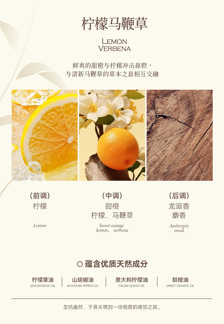 airguard-airguard-fireless-fragrance-lemon-verbena-150ml-5