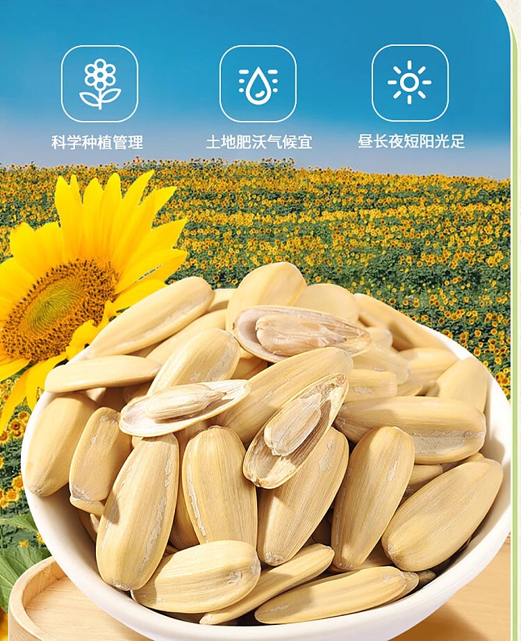 a-ming-chrysanthemum-melon-seeds-153g-3