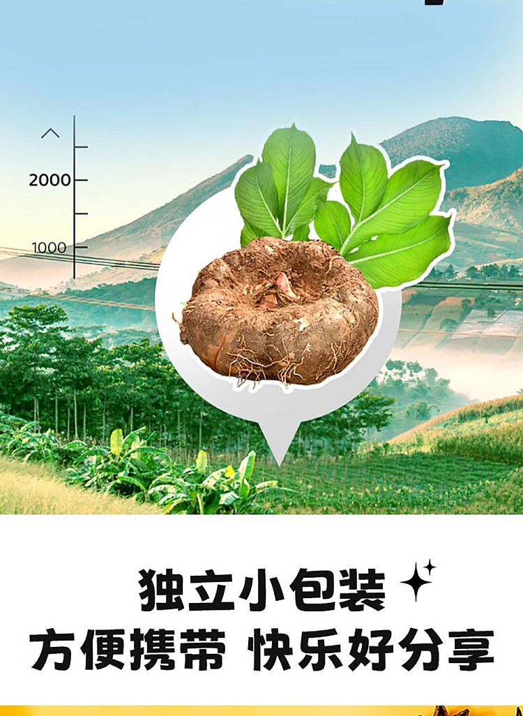 defend-flavor-old-beijing-sesame-sauce-popped-tripe-crisp-14g20pcs-4