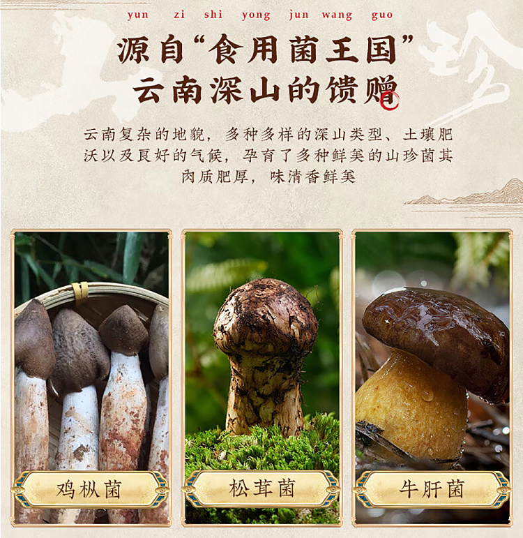 dianpinker-agricultural-academy-of-sciences-preferred-delicious-mountain-treasures-mushroom-three-flavors-mixed-250g-about-13-packs-2