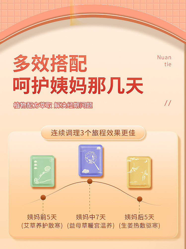 peking-tongrentang-inner-court-on-the-use-of-ginger-hot-compress-warm-patches-12-patches-10