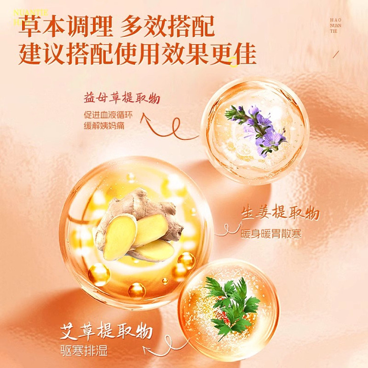 peking-tongrentang-inner-court-on-the-use-of-ginger-hot-compress-warm-patches-12-patches-3