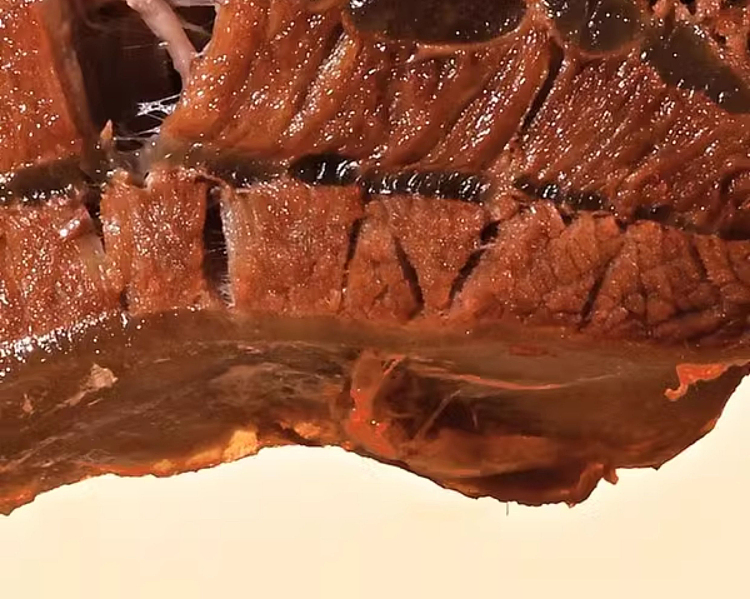 exclusive-to-australia-sams-own-brand-mm-marinated-beef-tendon-original-marinated-450g-12