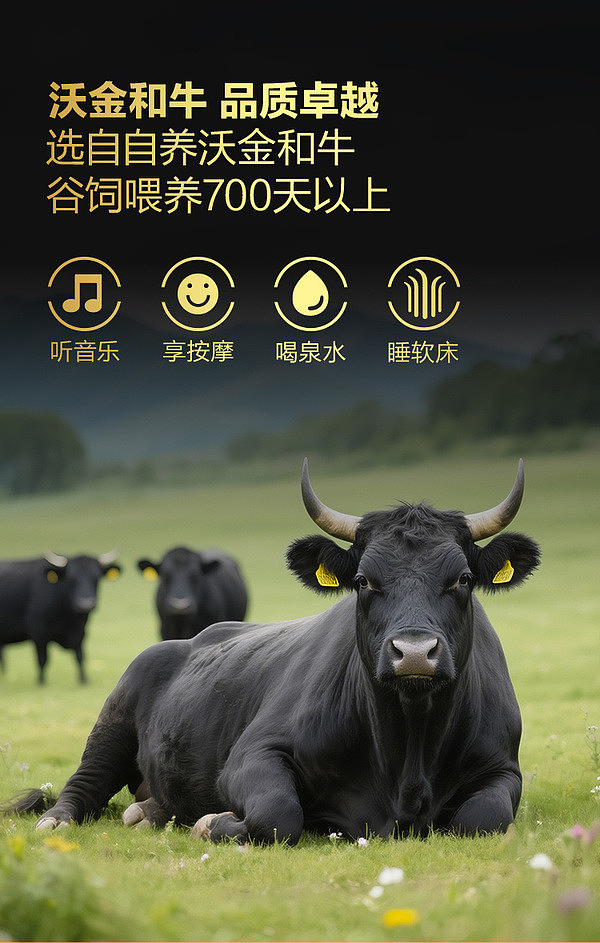 sams-exclusive-wagyu-beef-steak-crisp-178g-2