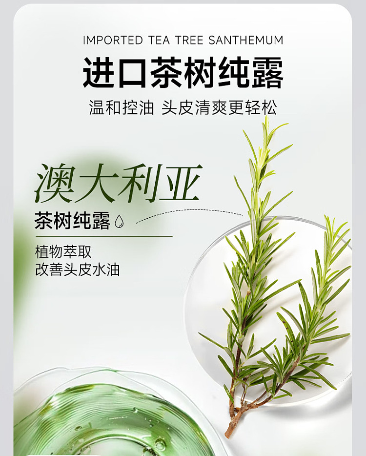8minutes-ginseng-tea-tree-shampoo-520ml-10