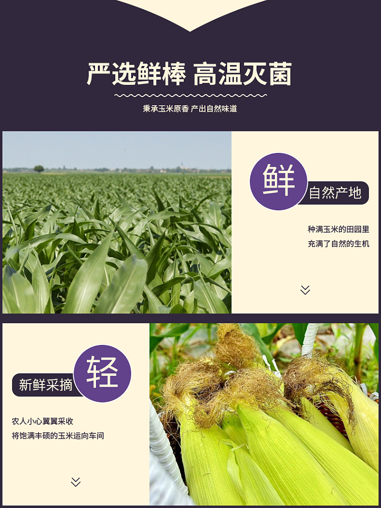 exclusive-to-fat-dong-lai-450g-of-black-sweet-corn-7