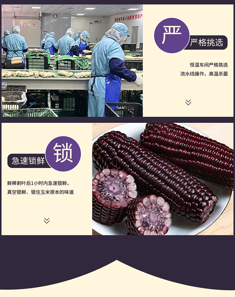 exclusive-to-fat-dong-lai-450g-of-black-sweet-corn-8