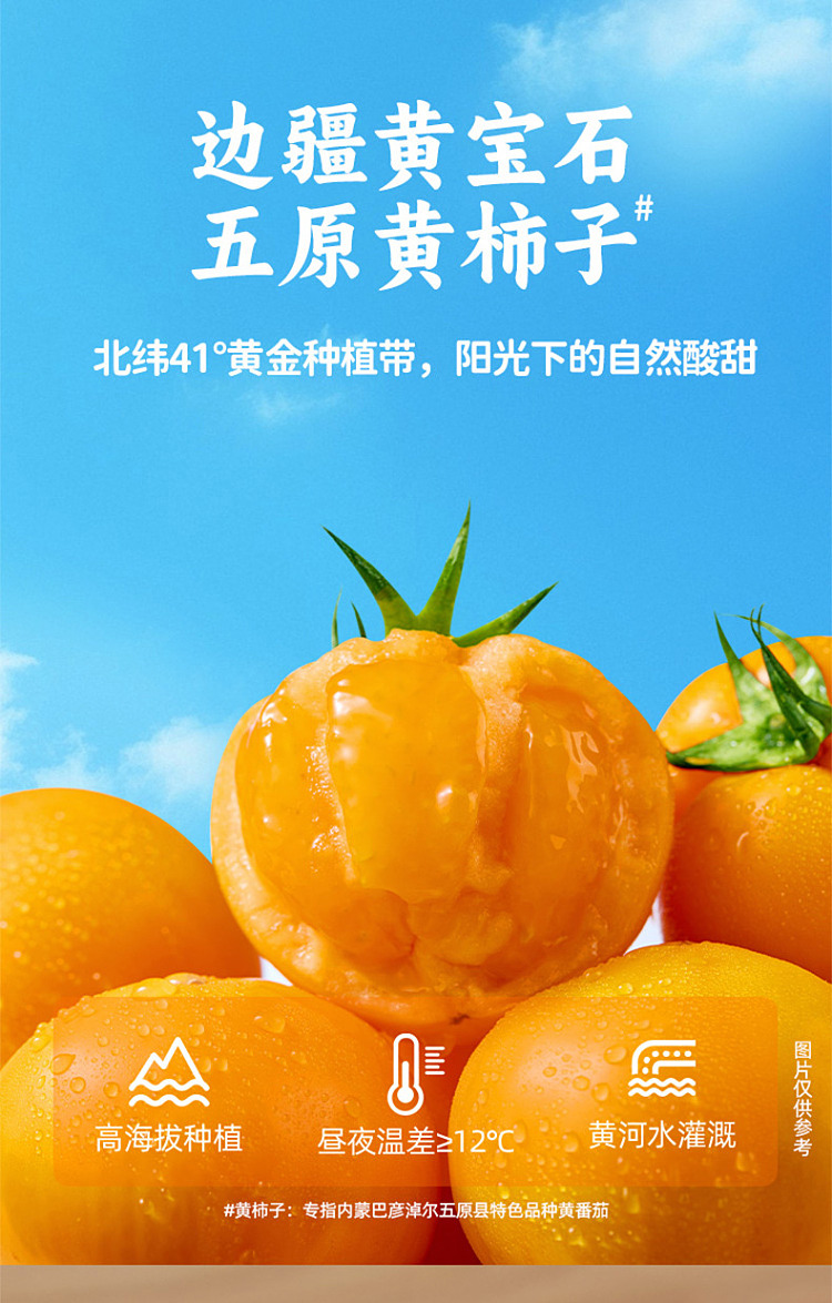 seafood-yellow-tomato-soup-mix-220g-2