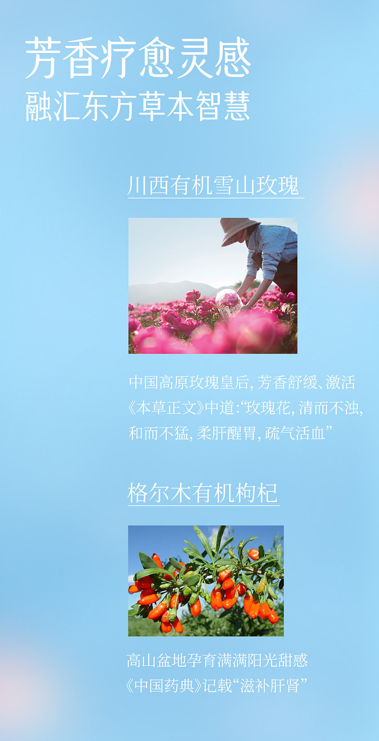 second-rose-goji-berry-flower-tea-500ml-3