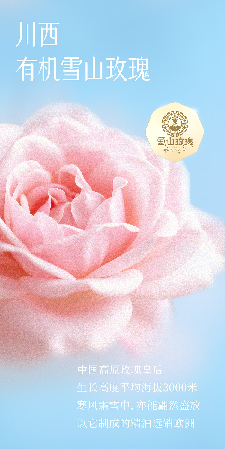 second-rose-goji-berry-flower-tea-500ml-4