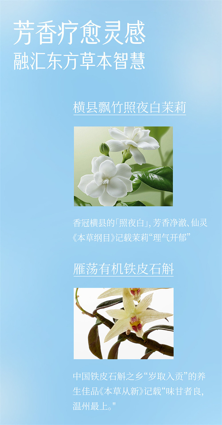 secondary-jasmine-dendrobium-tea-500ml-3