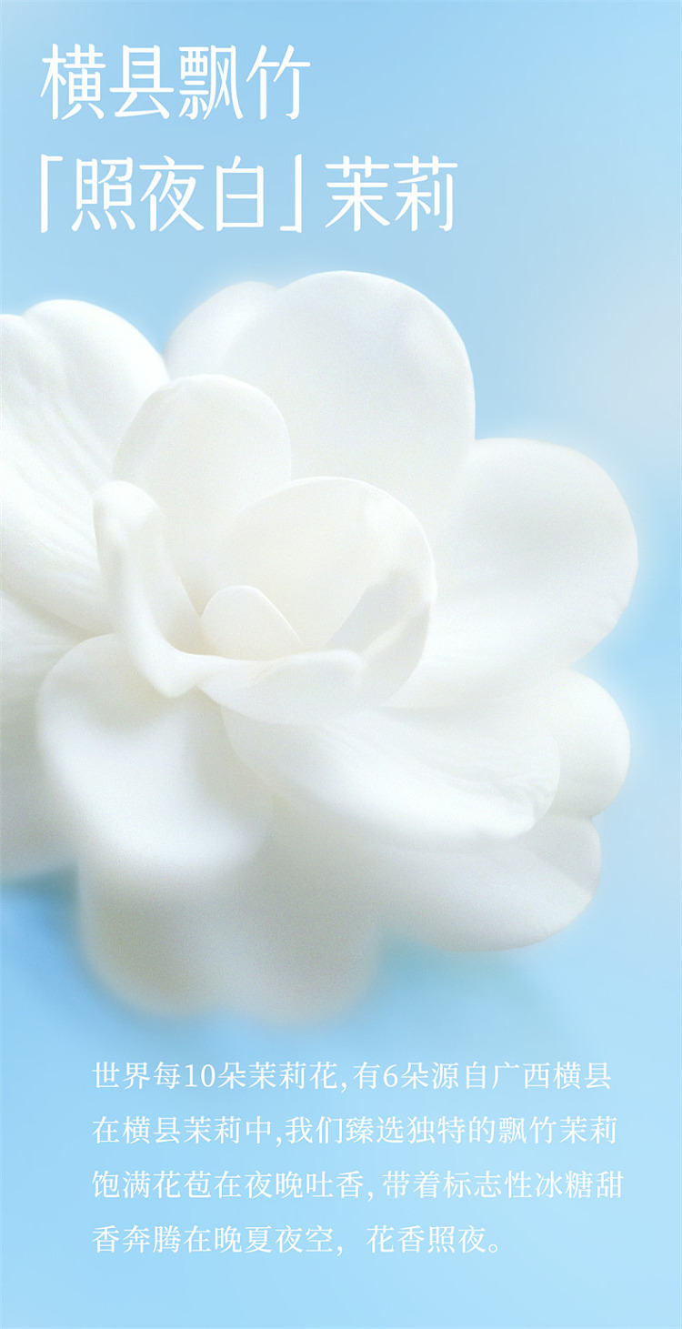 secondary-jasmine-dendrobium-tea-500ml-4