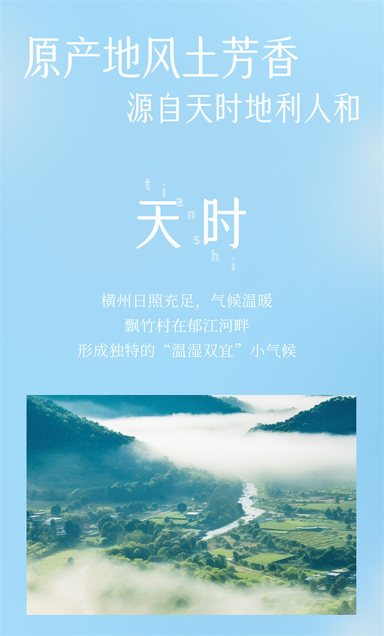 secondary-jasmine-dendrobium-tea-500ml-5