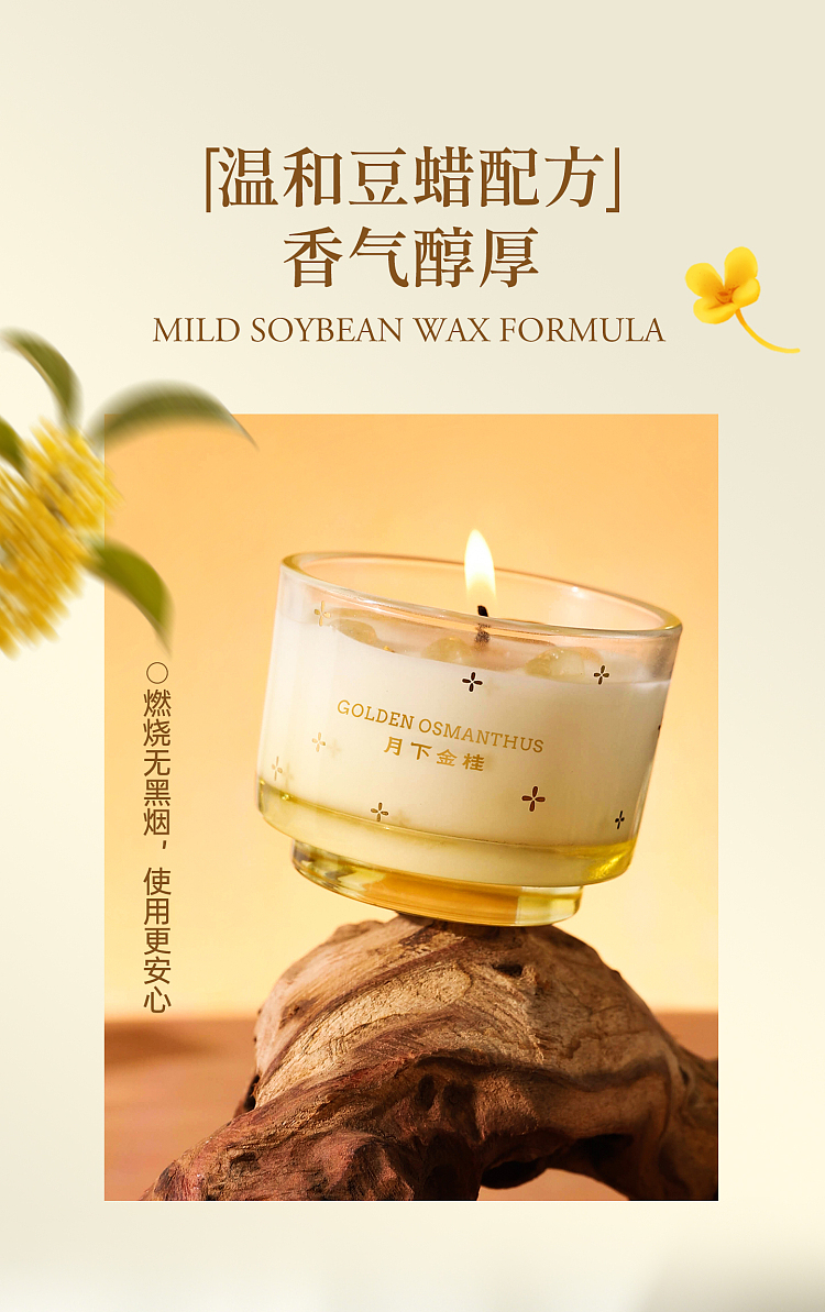 airguard-perfect-series-scented-candle-jasmine-tea-100g-15
