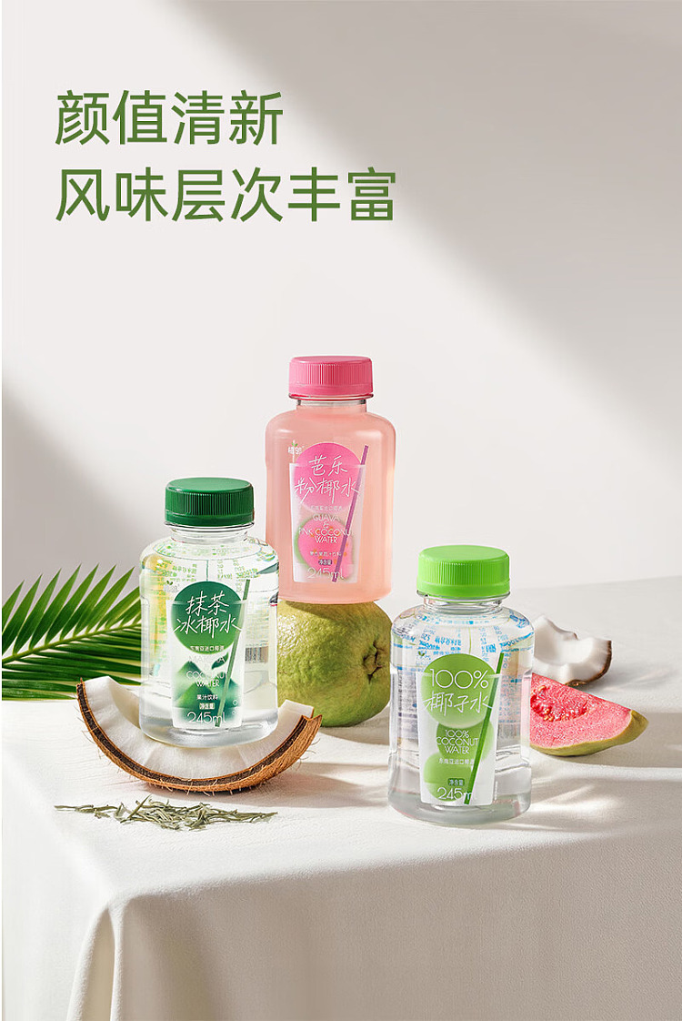 full-case-zhilin-guava-powder-with-coconut-water-for-potassium-supplementation-245-ml-x-10-4