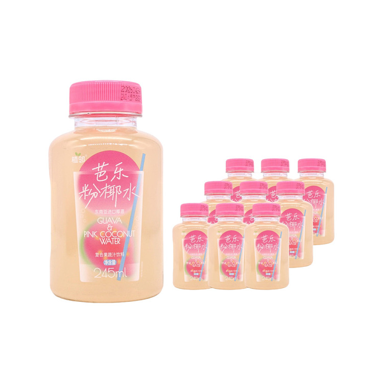 full-case-zhilin-guava-powder-with-coconut-water-for-potassium-supplementation-245-ml-x-10-1