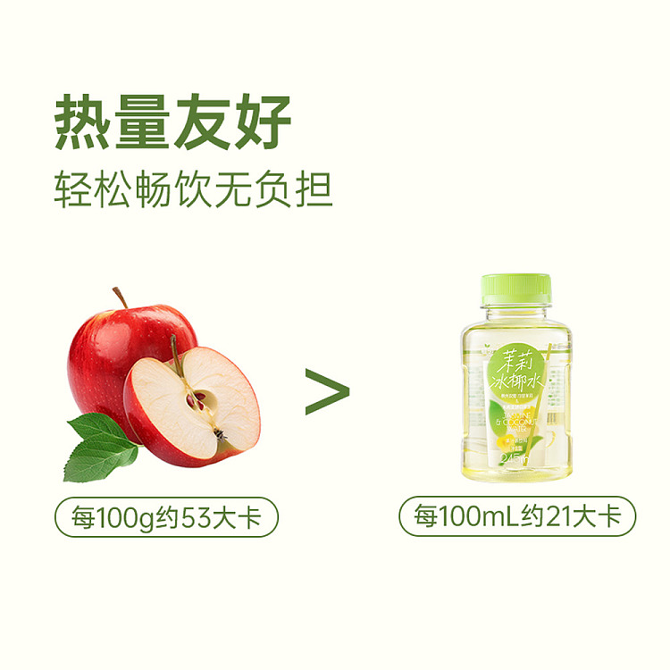 zhilin-jasmine-iced-coconut-water-with-potassium-245-ml-2