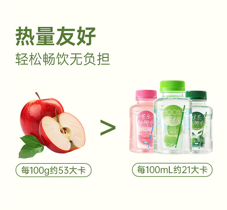 full-case-zhilin-matcha-iced-coconut-water-with-potassium-245-ml-x-10-4