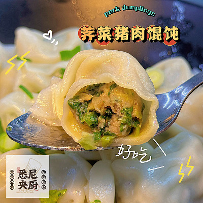 【鲜】悉尼央厨 荠菜猪肉馄饨 10pcs 300g